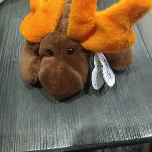 Chocolate the moose beanie baby